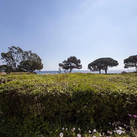 Lägenhet Face A La La Londe-les-Maures