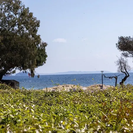 Face A La La Londe-les-Maures
